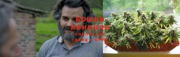 прущие грибы Арсеньев