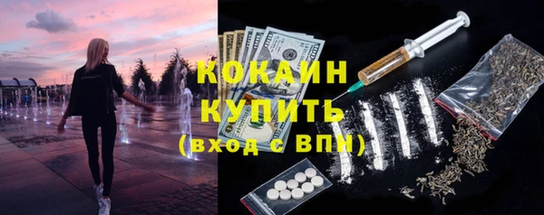 прущие грибы Арсеньев