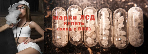 MESCALINE Аркадак