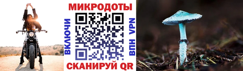 Галлюциногенные грибы GOLDEN TEACHER  купить закладку  ссылка на мегу как войти  Буйнакск 